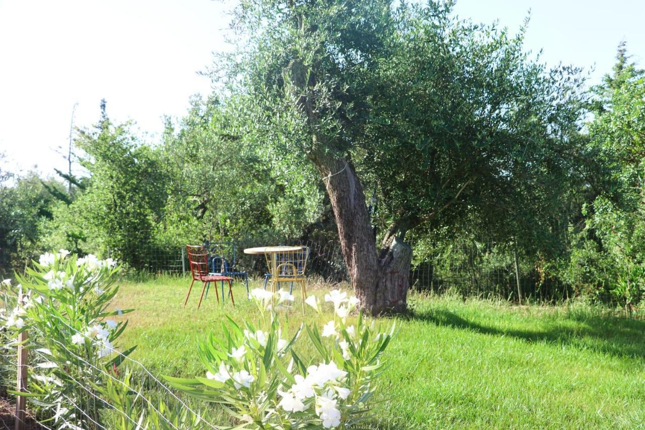 Essos Villas Dhërmi Kültér fotó